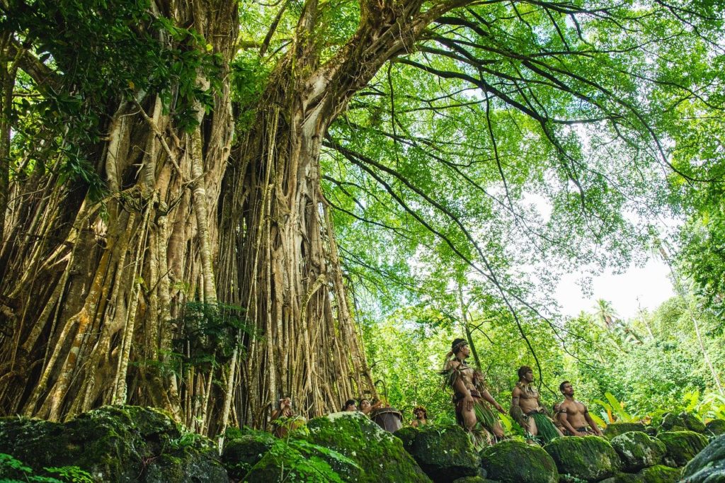 banyan, tree, old-7618200.jpg